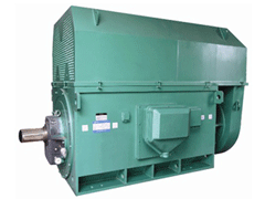 蕉城Y系列6KV高压电机